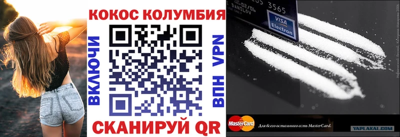 COCAIN Fish Scale  Купить закладки  Новая Ладога 