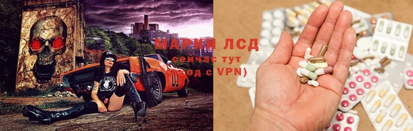 тгк Алзамай