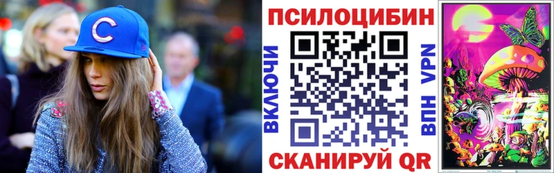 Псилоцибиновые грибы MAGIC MUSHROOMS  Купить  Новая Ладога 
